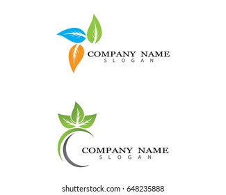 Eco Tree Leaf Logo Template