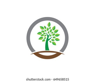 Eco Tree Leaf Logo Template