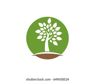 Eco Tree Leaf Logo Template