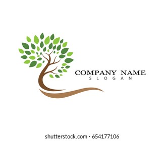 Eco Tree Leaf Logo Template