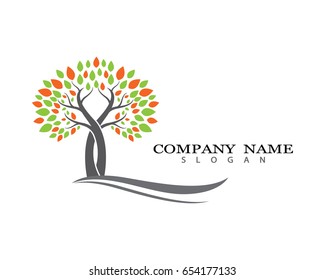 Eco Tree Leaf Logo Template