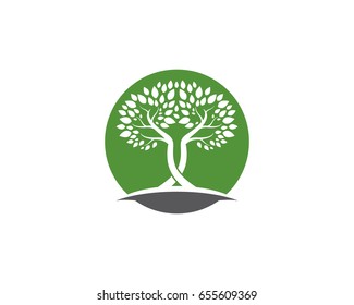 Eco Tree Leaf Logo Template