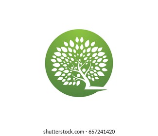 Eco Tree Leaf Logo Template
