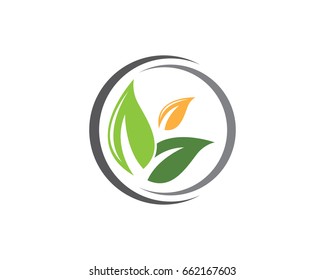 Eco Tree Leaf Logo Template