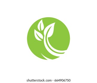 Eco Tree Leaf Logo Template