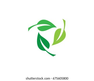 Eco Tree Leaf Logo Template