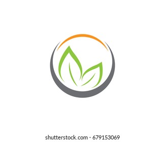 Eco Tree Leaf Logo Template