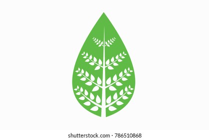 Eco Tree Leaf Logo Template