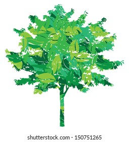 eco tree in leaves vector illustration