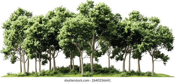 Eco trees group cutout landscape woods illustrations, transparent background, nature, forest, green eco friendly, outdoor scenery, environment, natural, sustainable, woodland