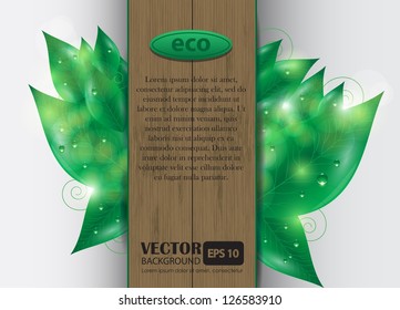 eco vector background