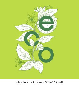 ECO , vector illustration.