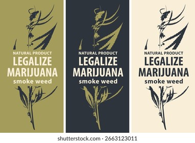 Eco Vector conjunto de Anuncio o etiqueta para el aceite de cáñamo CBD, marihuana medicinal, cannabis con inscripción hierba de humo. Diseño de camiseta. Tela, impresión, cartel de la tienda. No es IA