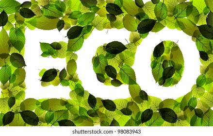 Eco - Vektorwort aus frischen grünen Blättern