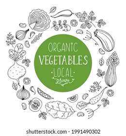 Eco vegetables collection. Hand drawn vector illustration. Minimalist design. Healthy organic food. Hand made in Scandinavian style