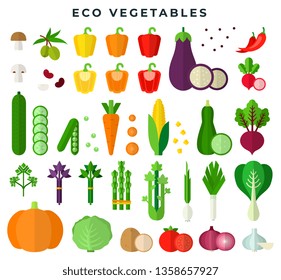 Eco vegetables, colorful flat style set. Fresh organic food. Vegetarian, dieting, healthy eating. Natural eco products. 100% organic tasty food. Vector illustration.