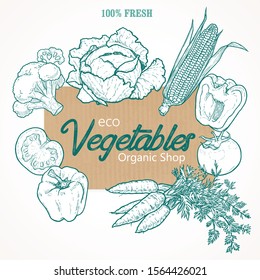 Eco vegetables. Hand drawn vector illustration. Ecological fresh food. Ecological shop emblem. Vector set of vegetables