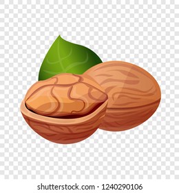 Eco walnut icon. Cartoon of eco walnut vector icon for web design  