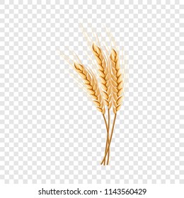 Eco wheat icon. Realistic illustration of eco wheat vector icon for on transparent background