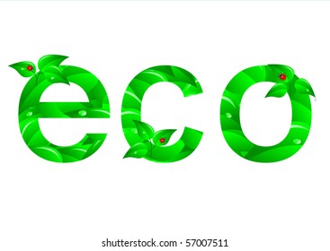 ECO word with leaves and ladybugs. Vector.