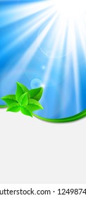 Eco-friendly abstract background. Vector illustration