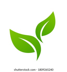 Eco-Friendly Icon. Ecology green icon, logo. Vector illustration Isolated on a white background EPS 10