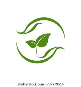 Eco-Friendly Leaf Balance