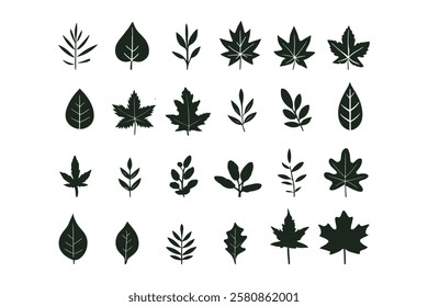 Eco-Friendly Leaf Shapes – Botanical Silhouette Vector Set