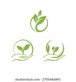 Logos ecológicos de hojas y brotes para una marca de salud natural