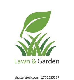 Eco-Friendly Practices for Your Outdoor Space