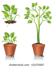 Eco-friendly vector illustration of a green plant growing inside a clay pot.