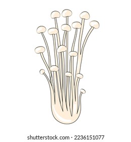 Ecoki Mushroom Isolated Element Asian Food