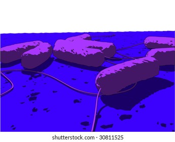 e-coli bacteria