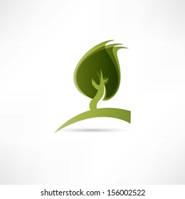 ecologi icon