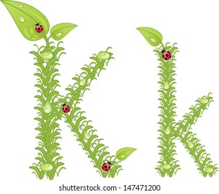 Ecological alphabet, green floral letter with ladybird, vector 