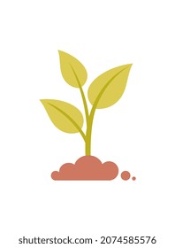 Ecological balance icon. Colorful icon with small sprout in soil. Caring for environment and nature. Plant growth. Conservation of biological diversity. Cartoon contemporary flat vector illustration