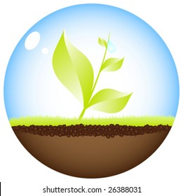 Ilustración del vector de bola ecológica