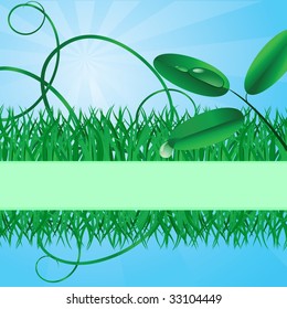 Ecological banner with a grass. Vector illustration