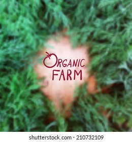 Ecological blurred background with dill. Organic farm theme