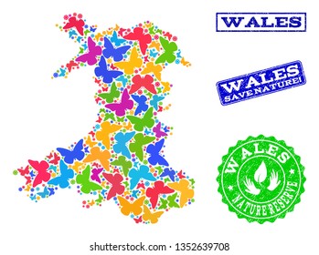Ecological combination of bright mosaic map of Wales and dirty seals with Save Nature text. Mosaic map of Wales designed with multi-colored butterflies. Vector seals with unclean rubber texture.