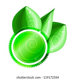 Ecological concept: green label with copyspace  with three shiny leaves with dew drops. Eps10
