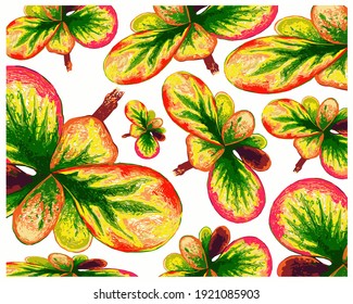 Concepto Ecológico, Fondo de Ilustración de Hermosas Plantas de Crotón Verde y Amarillo o Plantas Variegatium de Codiaeum para Decoración Jardín.
