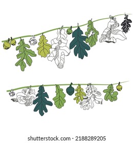 Ecological design. Branches with leaves and acorns of oak. Forest pattern