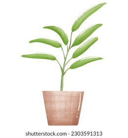 Ecological environment with beautiful plants and potted plants.