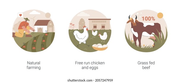 Ecological farming abstract concept vector illustration set. Natural farming, free run chicken and eggs, grass fed beef, sustainable agriculture, food labeling, antibiotics free abstract metaphor.