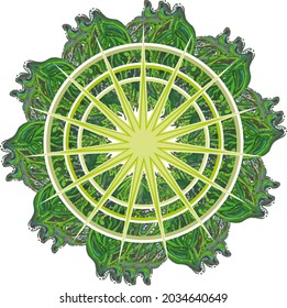 Ecological green star concept on a white backdrop. Grunge star or cover for backgrounds and textures,  holidays and events, T-shirt prints, textiles, tattoos, wallpaper, etc.