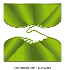 An ecological handshake with leaf surfaces.