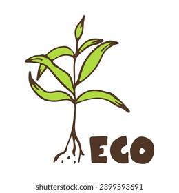 Icono ecológico con planta ecológica hecha a mano. Vector.