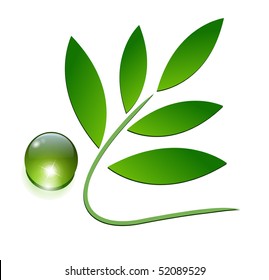 ecological icon, green leaves and dew drop.