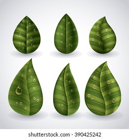 ecological leaves  design 